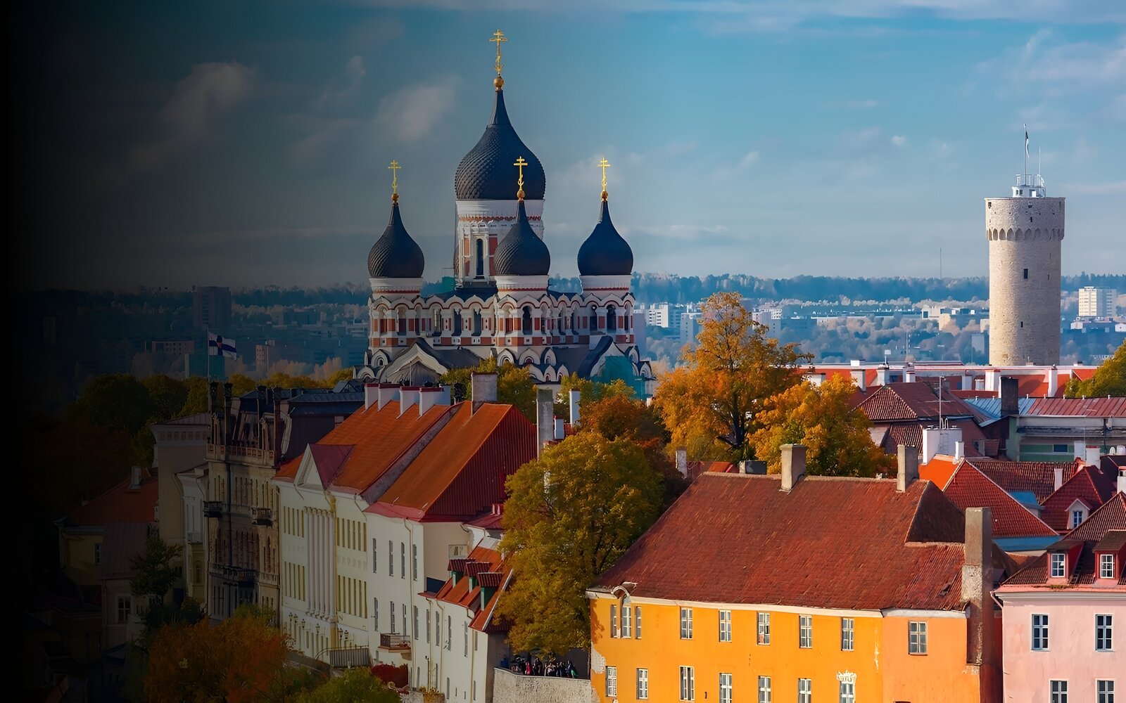 Estonia Shelf Company